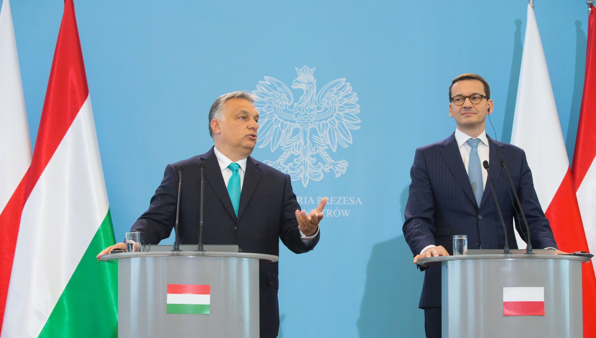 New institute will build closer relations between Polish and Hungarian youth