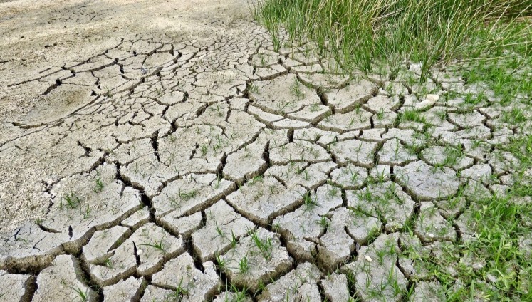 Poland is facing the harshest drought in 50 years