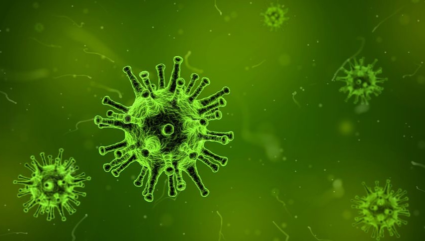 64 new cases of infection in Poland