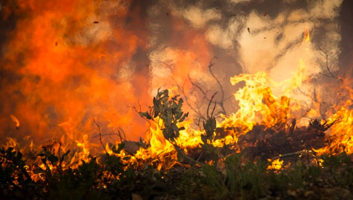 Biebrza National Park on fire