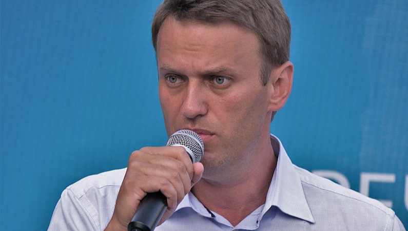 Russian opposition leader Alexei Navalny hospitalised