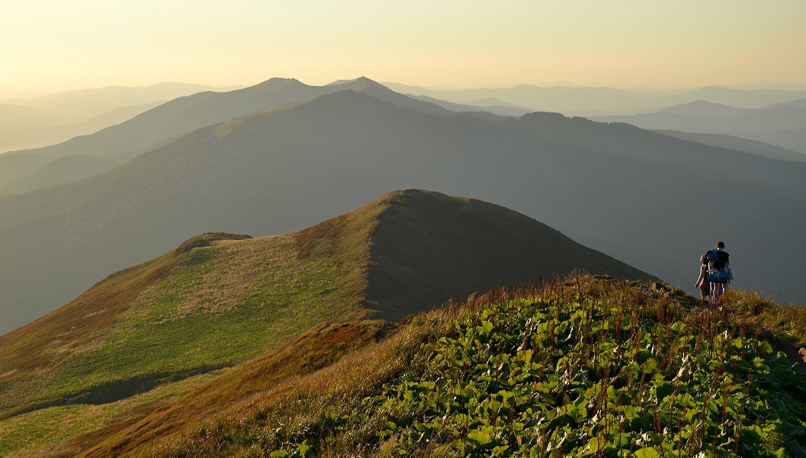 Polish National Parks - Bieszczady National Park