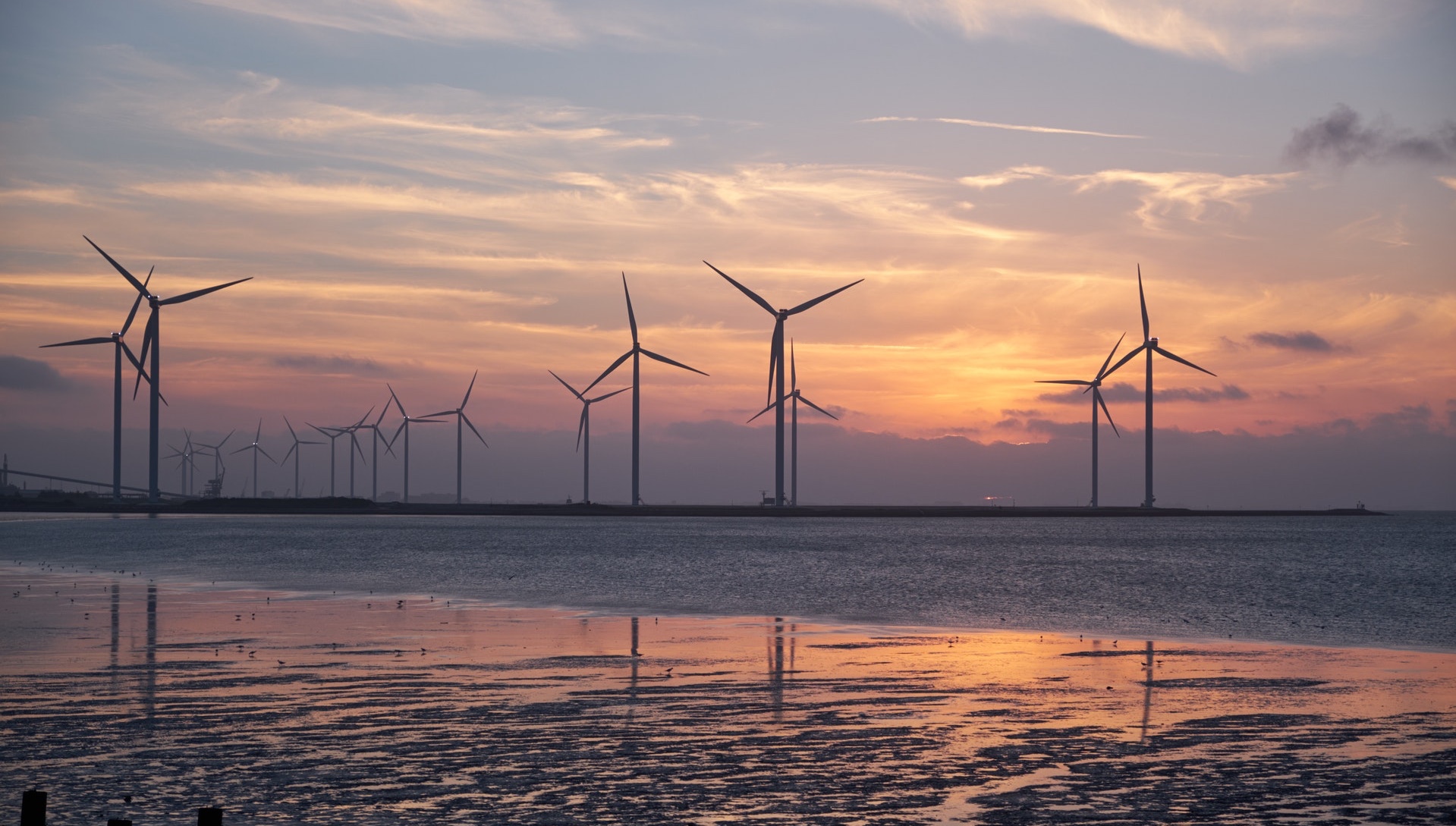 Wind farms on the Baltic Sea