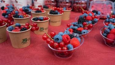 Impact of berries on diabetes