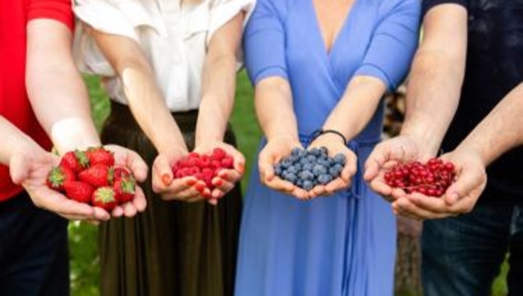 Berries and fertility and pregnancy