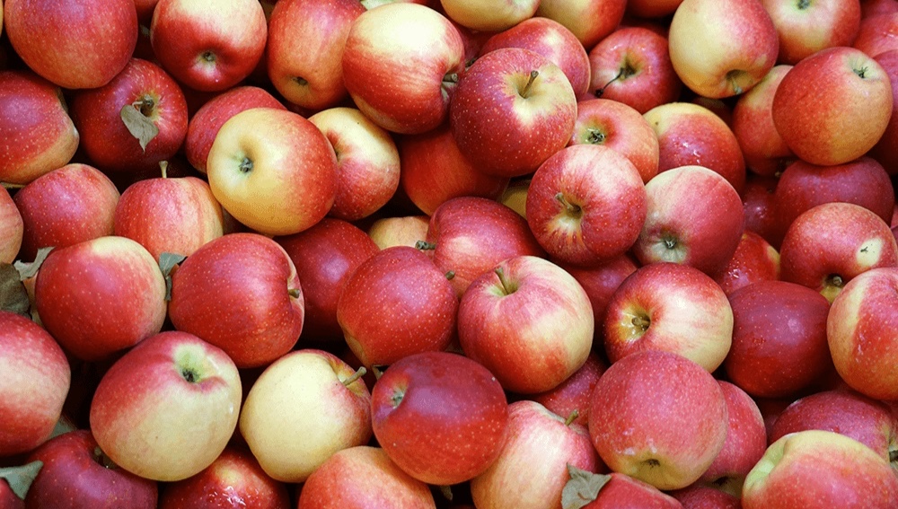 How to buy good Polish apples?