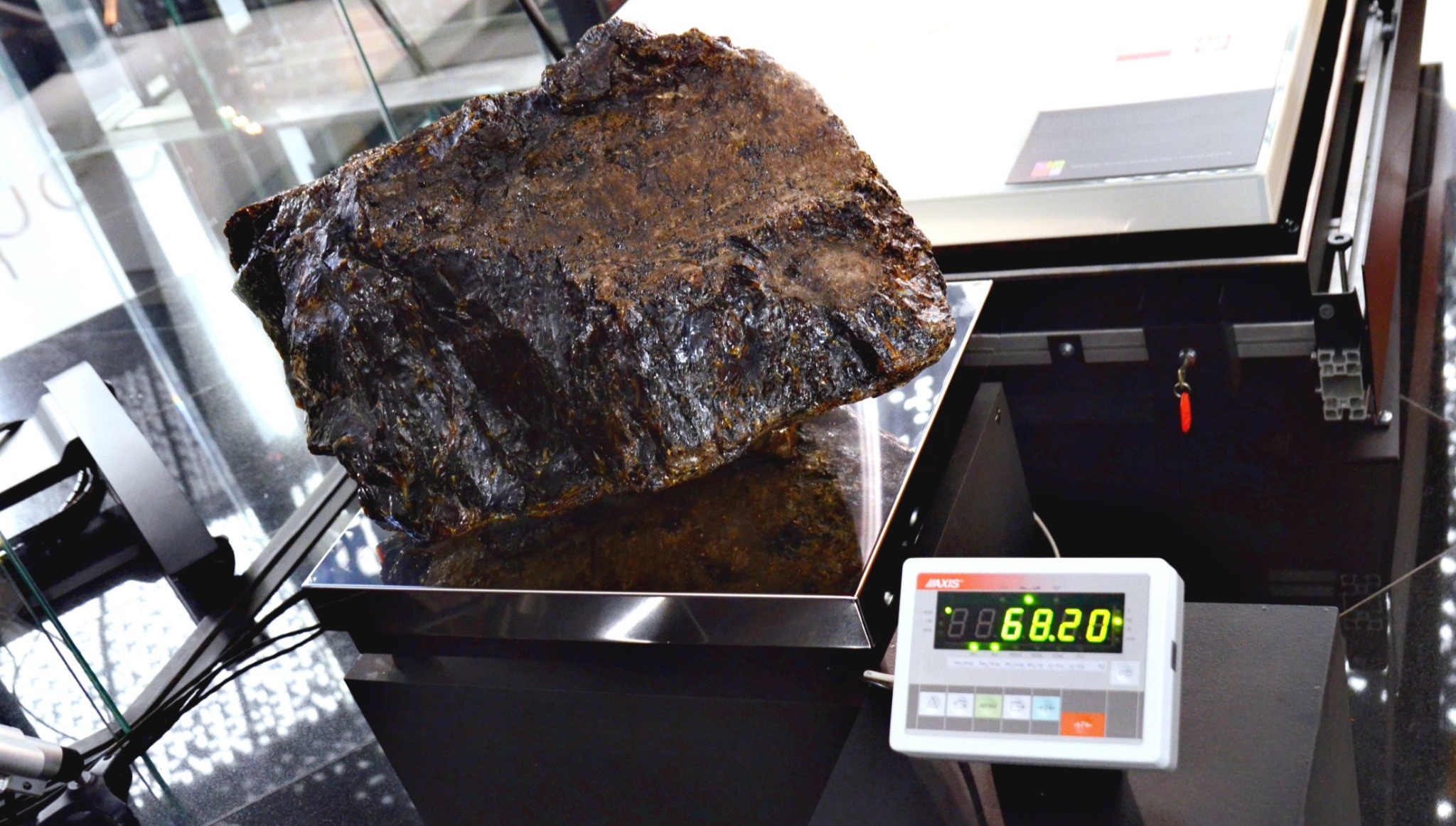 The largest lump of amber in the Gdansk museum with the Guinness World Record
