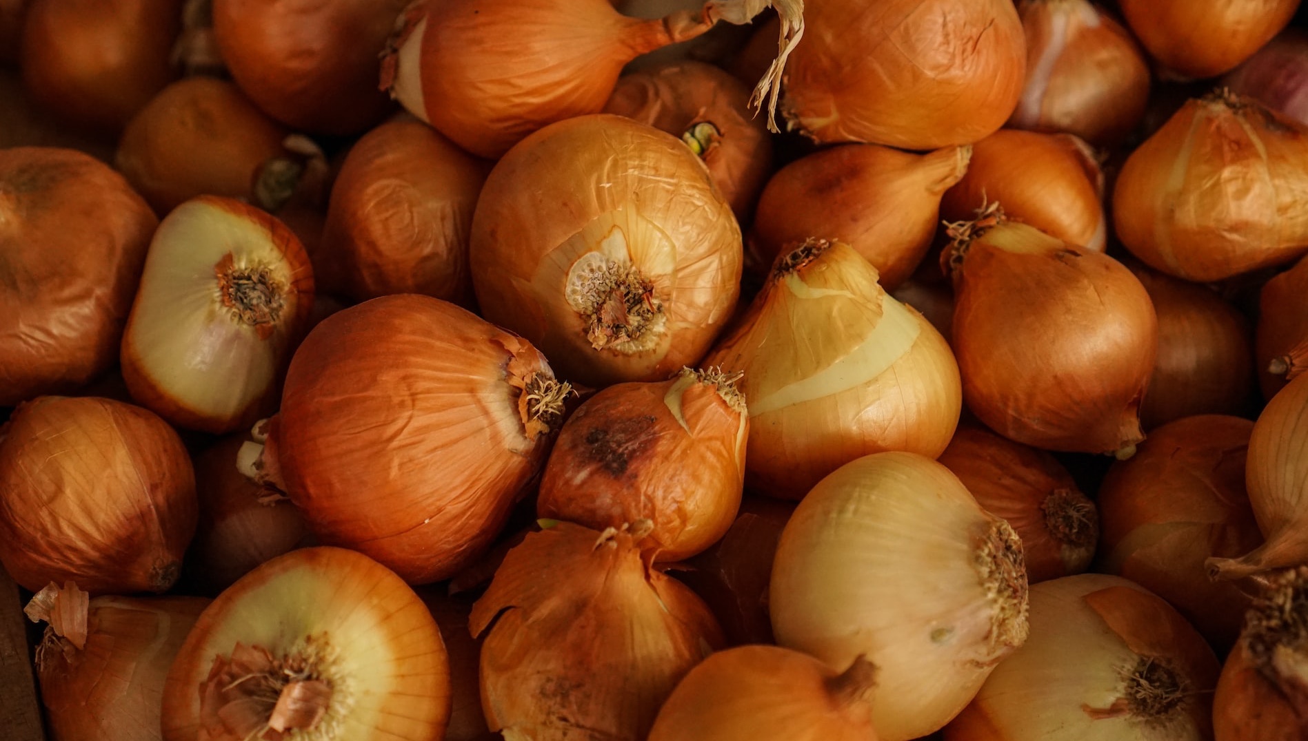Onion and sugar flu 'remedy' is more a recipe for bad teeth – Australian  Associated Press