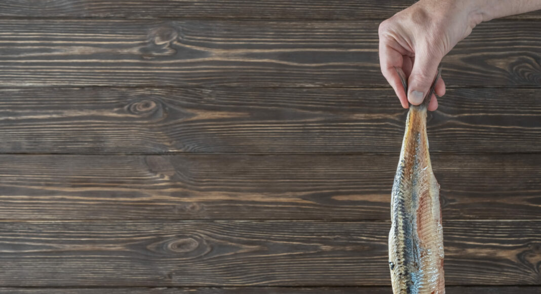Male hand holding fillet herring on dark wooden background. Kashubian-style herring recipe.