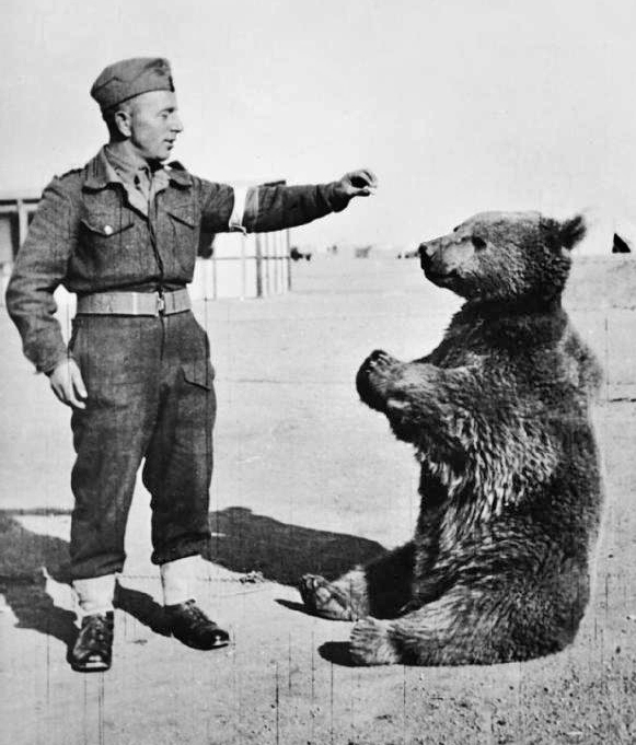 Polish soldier with Wojtek (right) in 1942