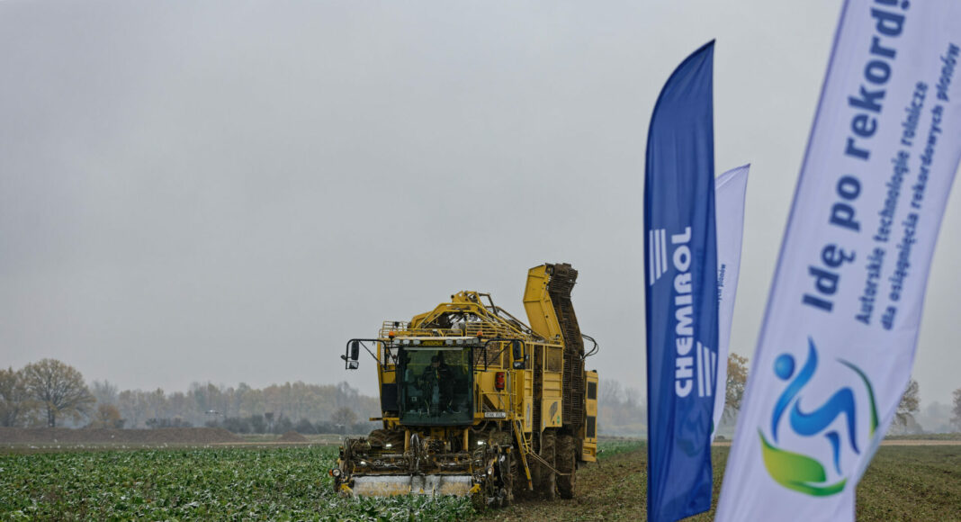 Polish record for sugar beet harvest