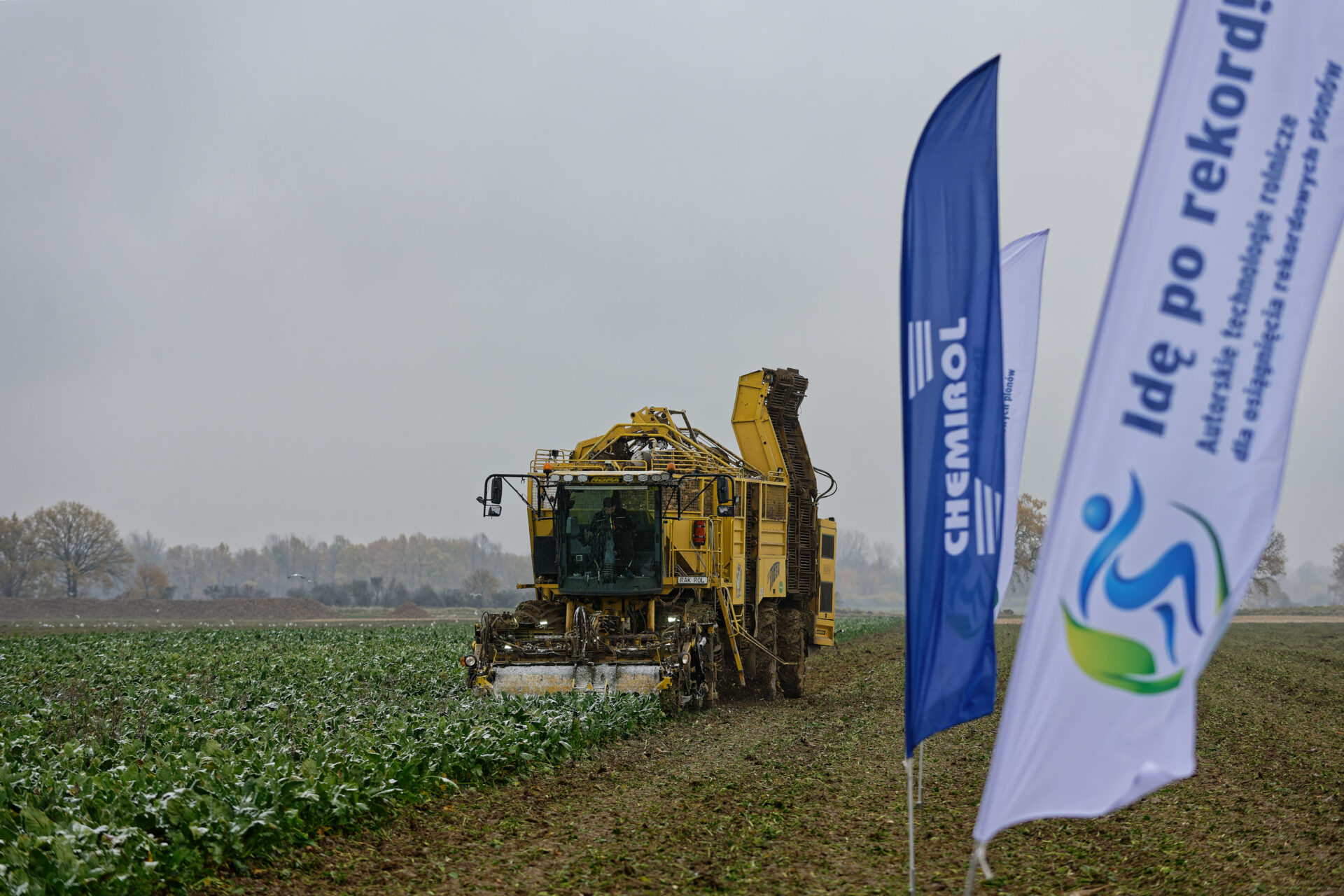 Polish record for sugar beet harvest