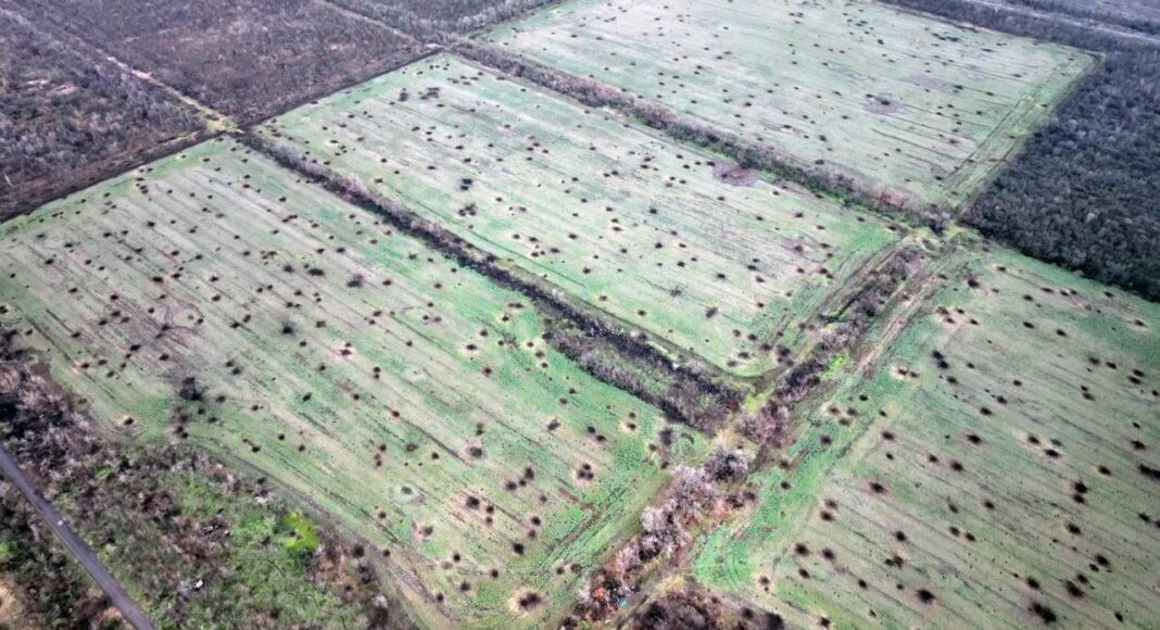 Thousands of bullets that fell in the middle of fields of Bakhmut and were wasted.
