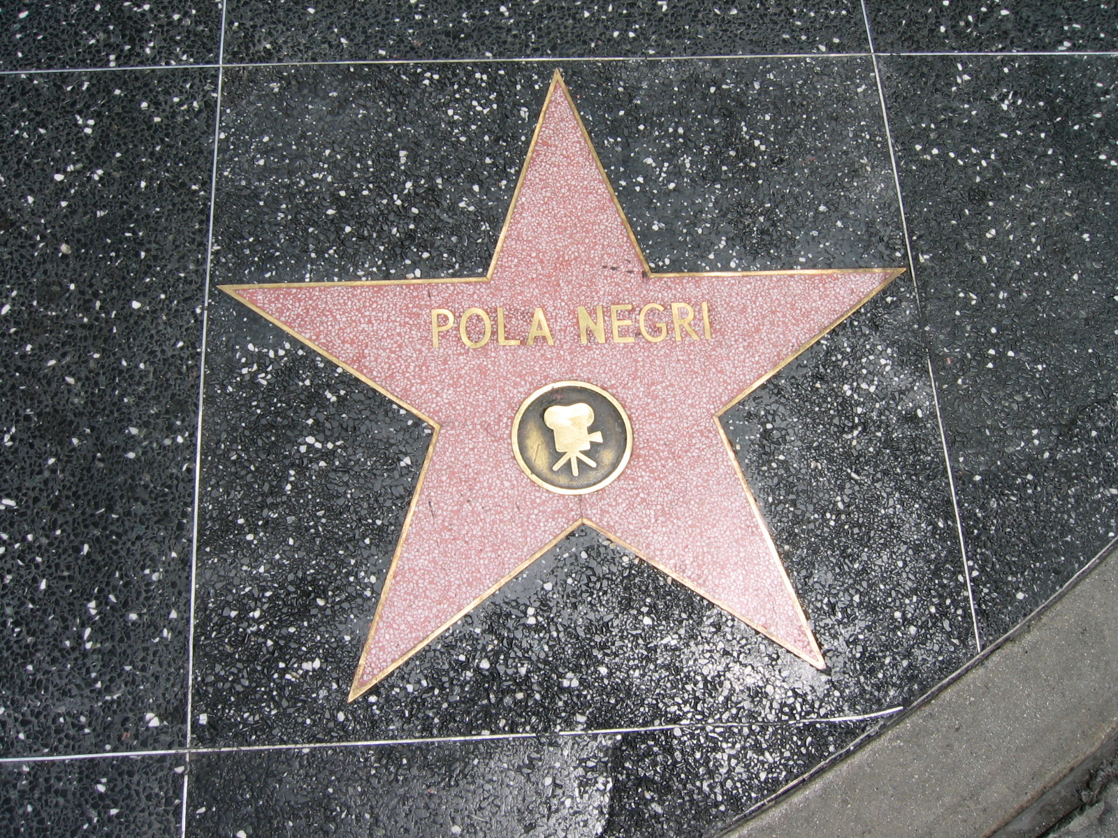 Hollywood stars of Polish descent: Pola Negri