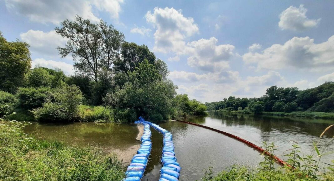 Impending Heatwave Raises Concerns of Golden Algae Resurgence in Poland's River Odra