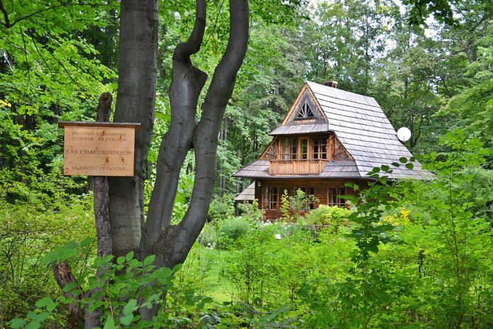 The Chałubiński Forest in Zakopane