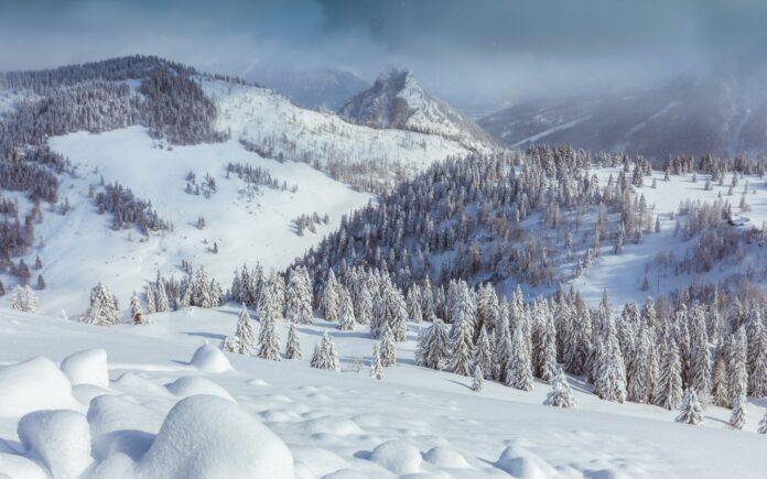 Walking in Winter Wonders: Snowy Landscapes and Enhanced Body Satisfaction