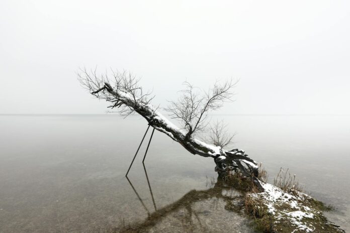 winter pond