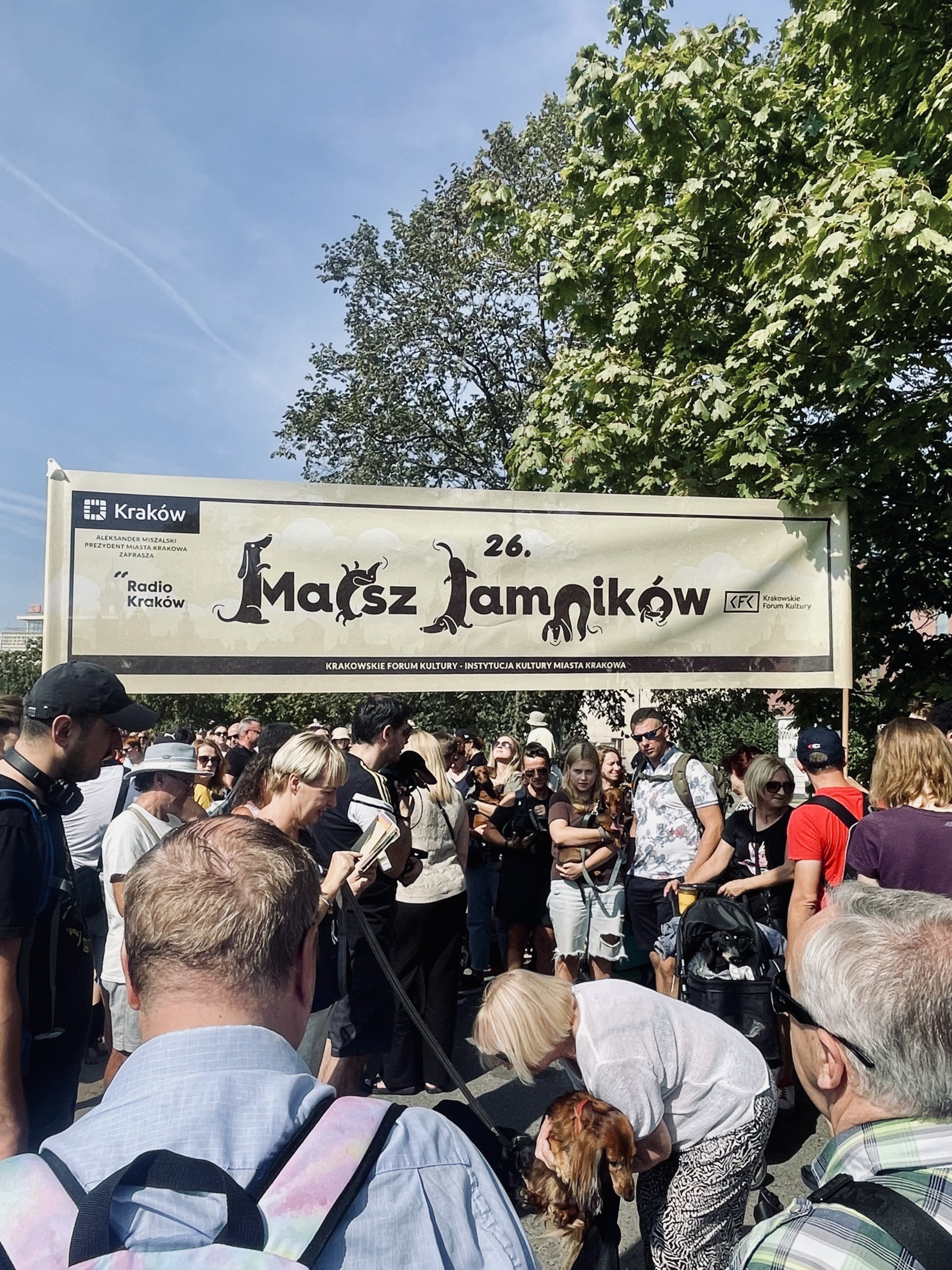 Dachshund Parade in Krakow