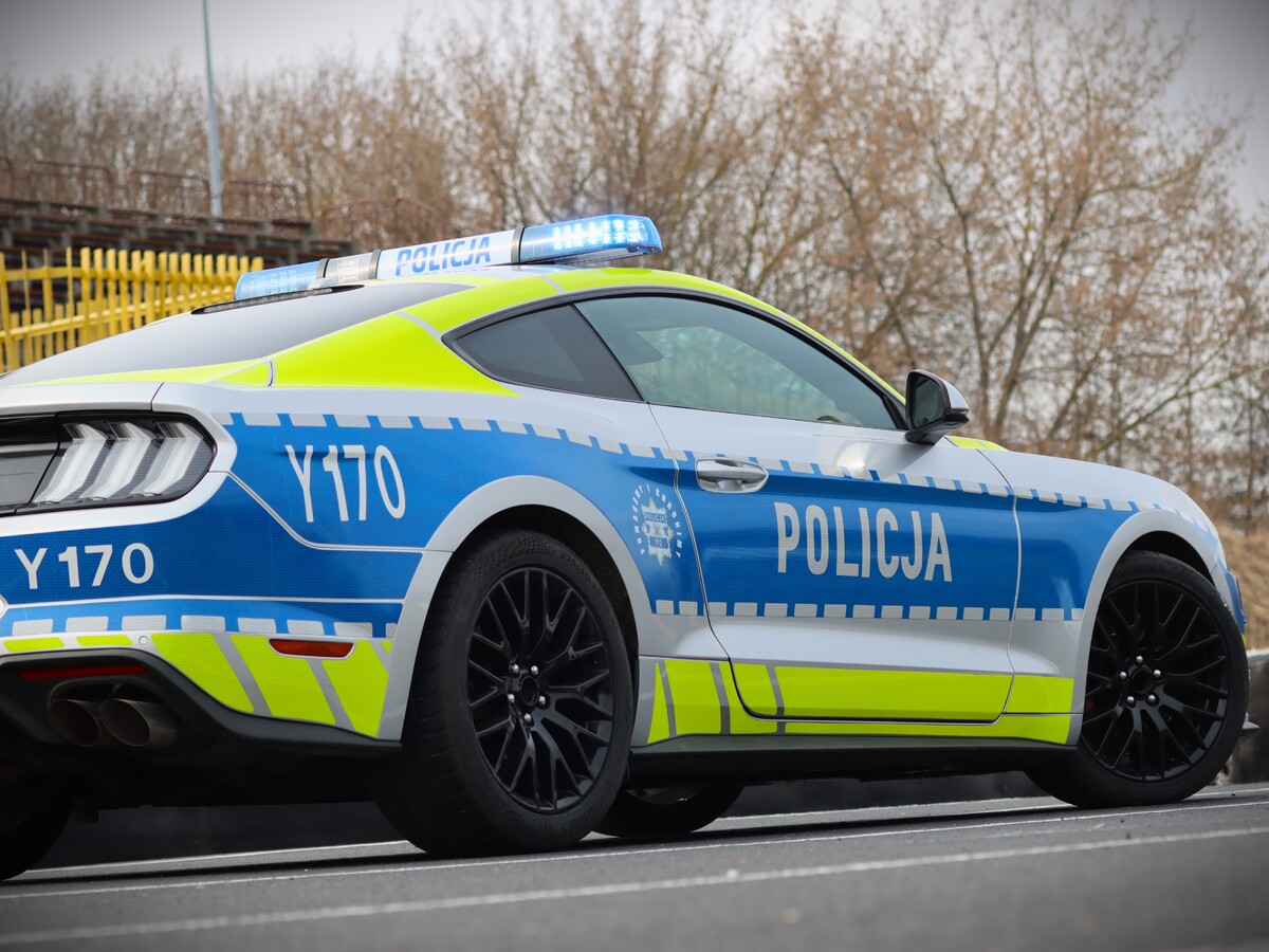 The eight-year-old Ford Mustang is equipped with a 5.0-liter V8 engine producing 450 hp (331 kW). According to the manufacturer, it accelerates from 0 to 100 km/h in under 5 seconds, with a top speed of 249 km/h.